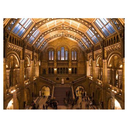 Natural History Museum — Highams Park School