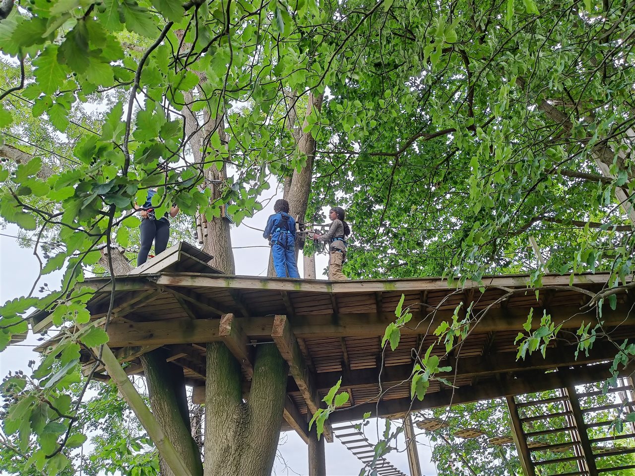 Go Ape — Highams Park School